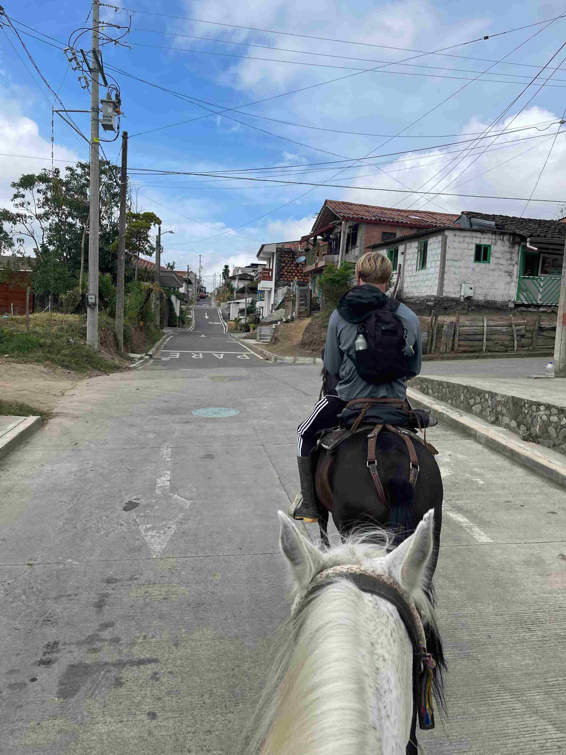IMG_2202_11zon riding horse on road