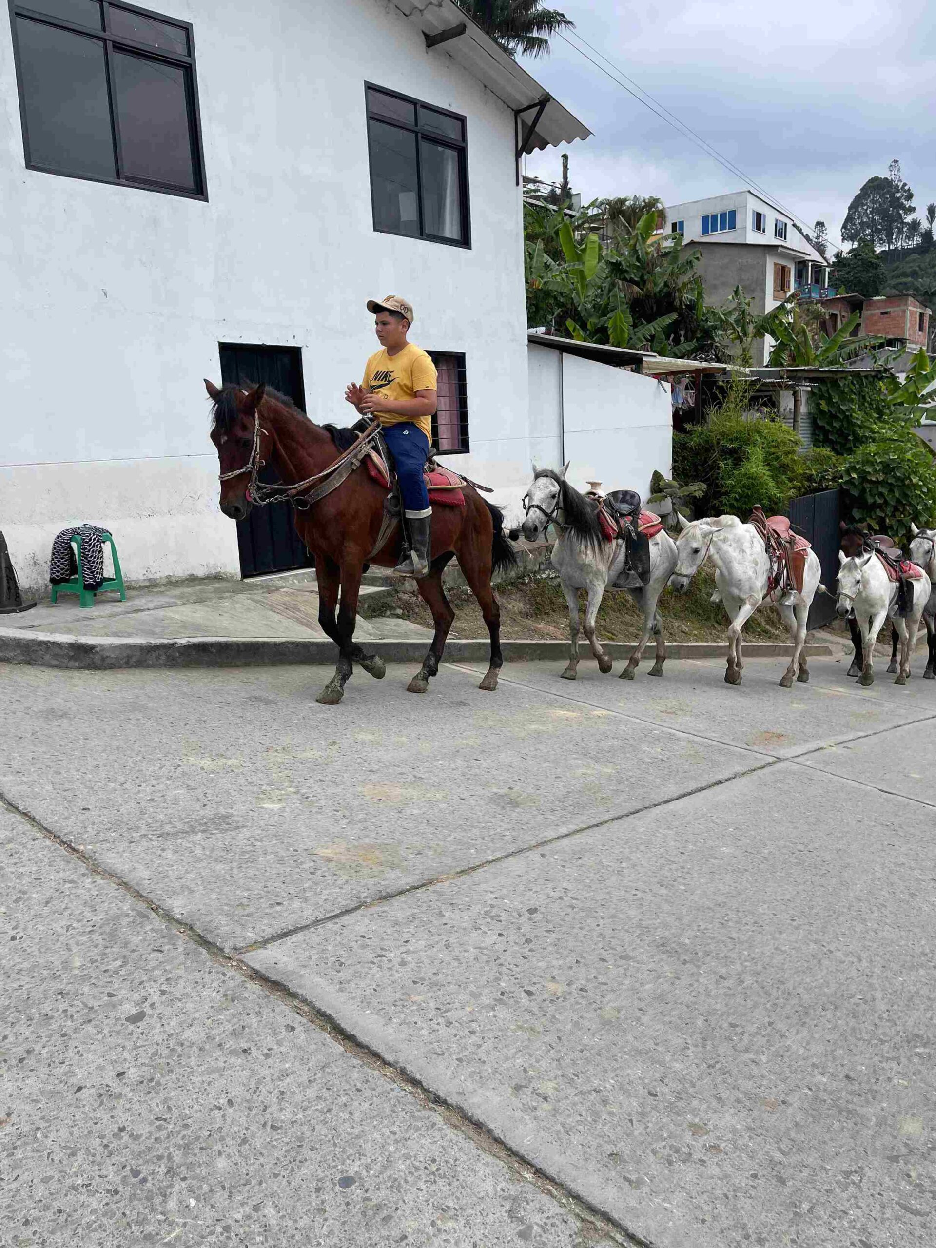 IMG_3284_11zon kid riding horse in Salento