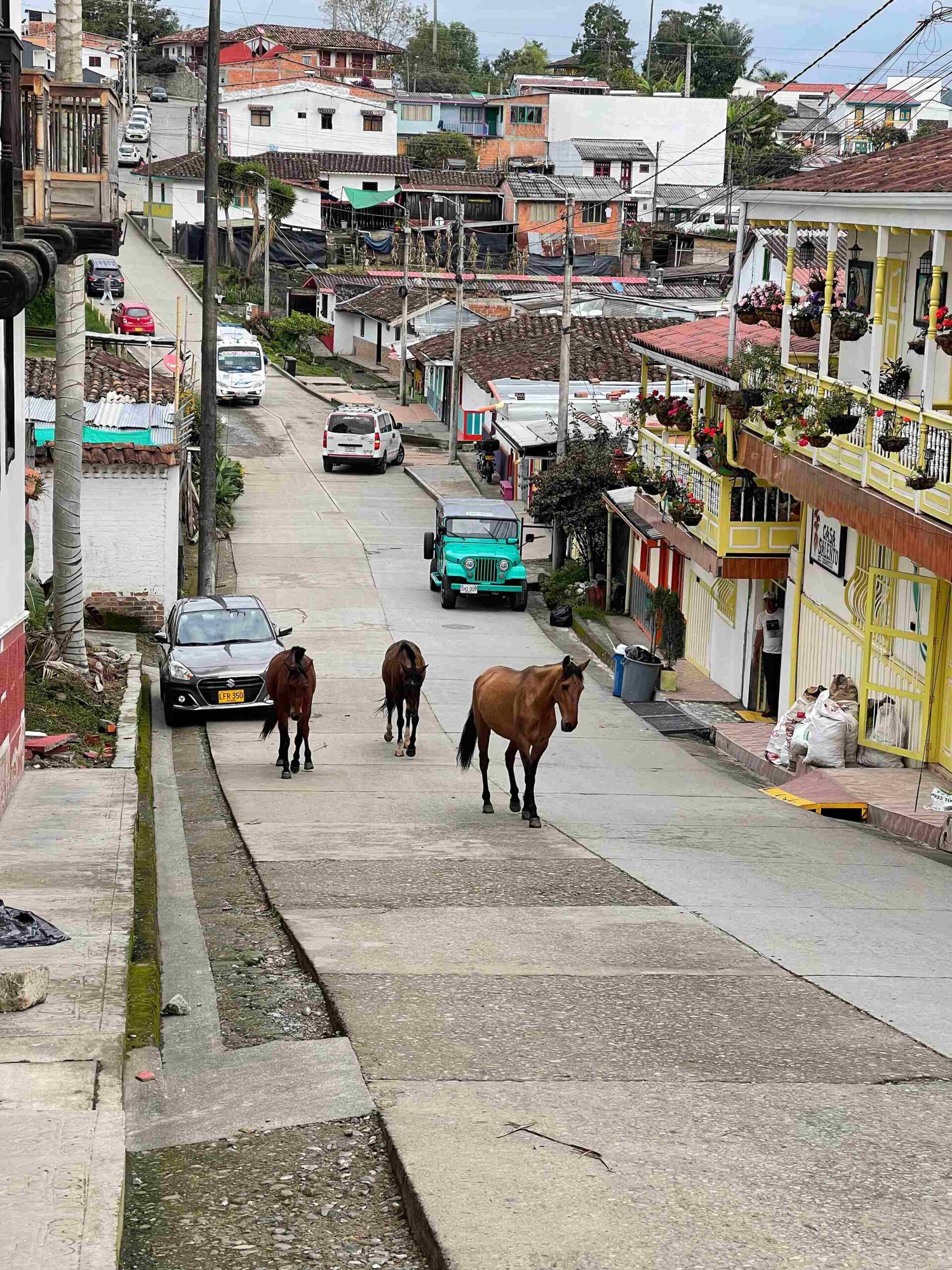 IMG_3337_11zon horses on street in Salento