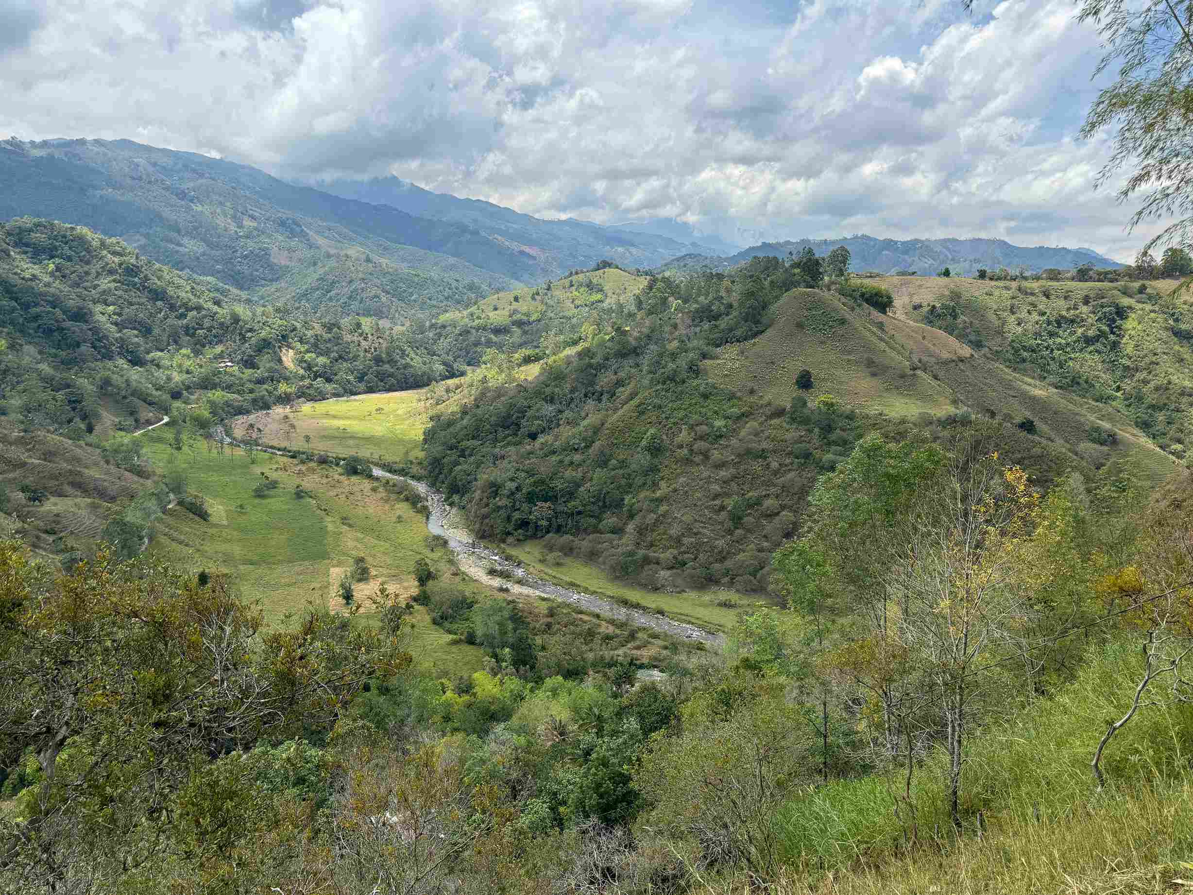 IMG_9135_11zon landscape salento