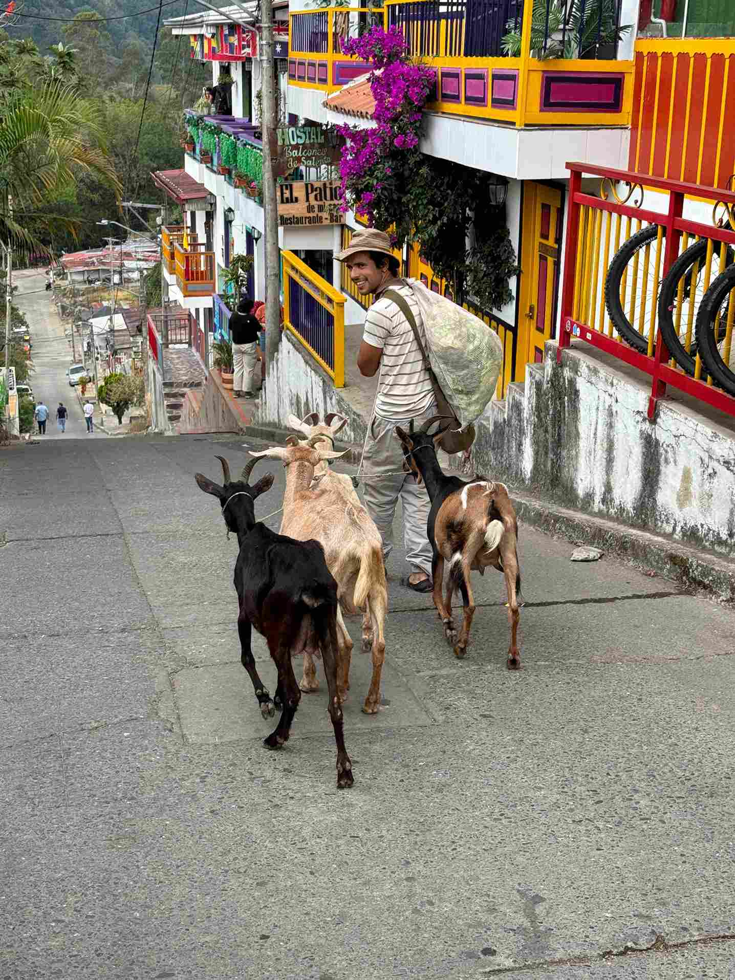 IMG_9265_11zon goats on street in Salento
